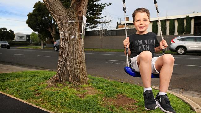 Children like Rafi might soon be allowed to swing from the trees in Port Phillip. Picture: Mark Stewart