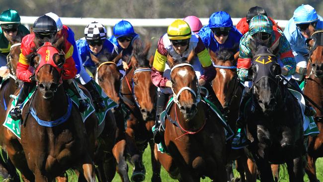 Loving home ridden by Tye Angland  (yellow cap, maroon with yellow armbands) wins race 1 during Scone  Races located in the Upper Hunter Region of NSW. The Bend . Pic Jenny Evans