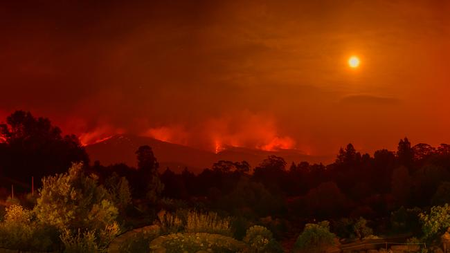 Mt Tomah Botanical Gardens suffered damage from the Gospers Mountain fire as it travelled from Mt Wilson east towards Bilpin on Sunday. Photo: MATRIX/Jeff Walsh