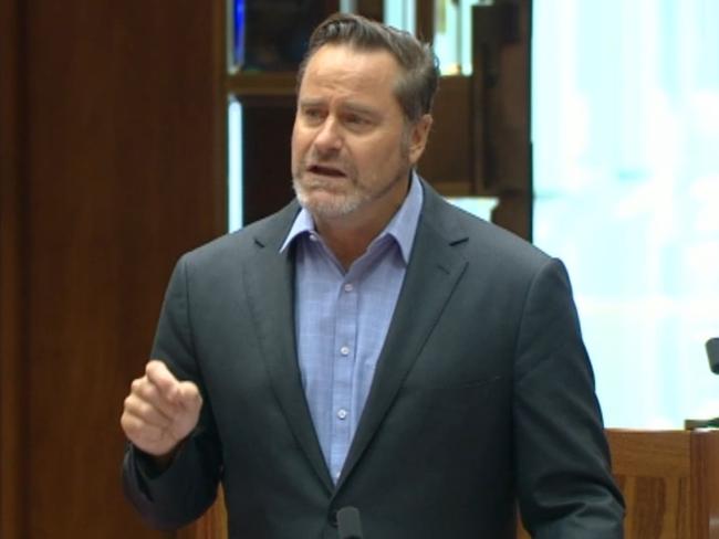 Tasmanian senator Peter Whish-Wilson raised a motion in the Senate on Thursday, March 21, 2024, to ban new coal, oil and gas mines in Australia to save the Great Barrier Reef from ‘catastrophic’ global warming.