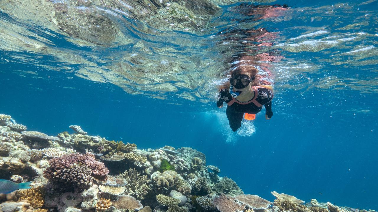 Why you need to visit the Great Barrier Reef, Far North Queensland ...