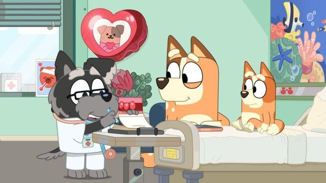 Bingo has been in hospital in previous episodes. Image: ABC