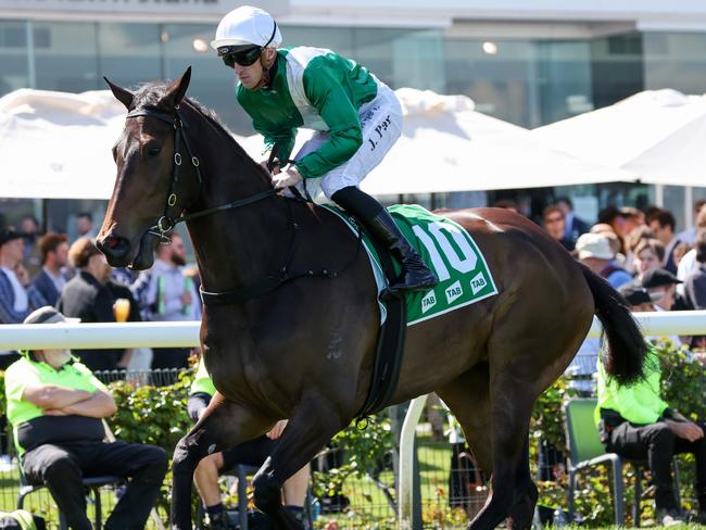 Tajneed on the way to the barriers prior to the running of the TAB Edward Manifold Stakes at Flemington Racecourse on October 01, 2022 in Flemington, Australia. (Photo by George Sal/Racing Photos via Getty Images)