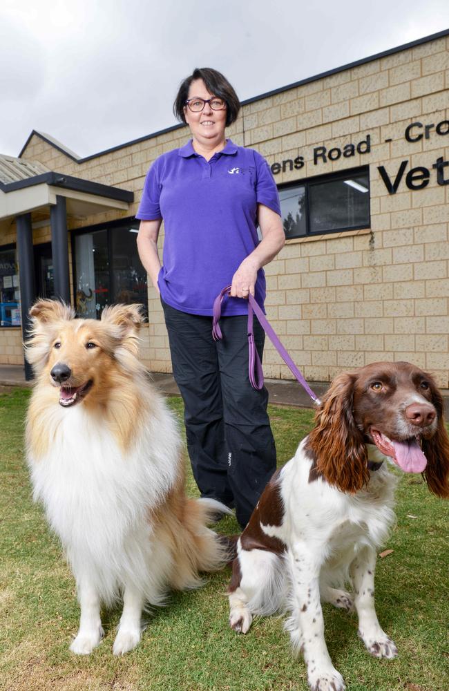 Dr Jenny Weston was determined no pet went untreated during the coronavirus lockdowns. Picture: NCA NewsWire / Brenton Edwards