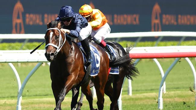 Switzerland has a Group 2 winner as a two-year-old. Picture: Jeremy Ng-Getty Images