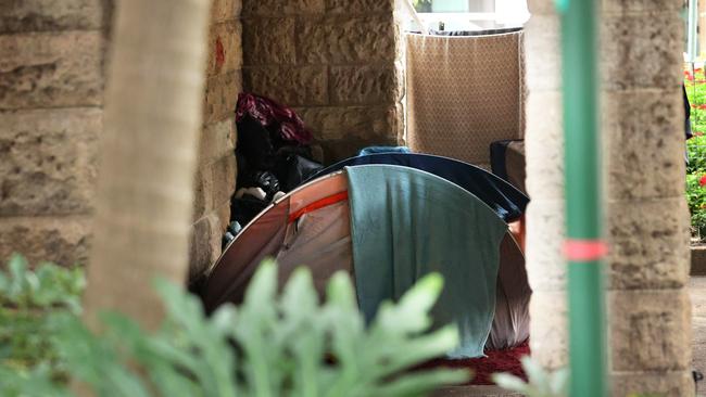 Homeless tents in Jacob’s Ladder Park. Picture: Liam Kidston