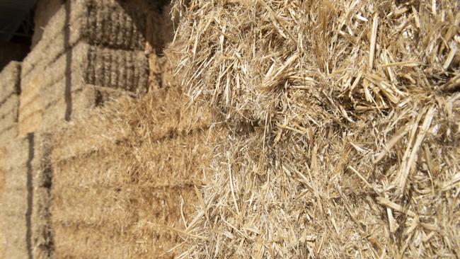 An SA farmer has warned others to keep an eye out for hay scams after being hit by one himself. Picture: Zoe Phillips