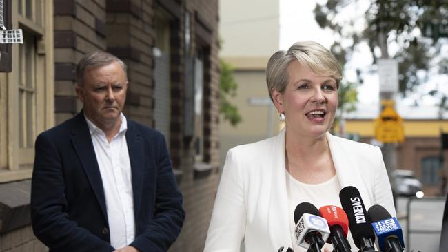 Anthony Albanese listens as Tanya Plibersek speaks at a press conference last year. Picture: NCA NewsWire/Monique Harmer