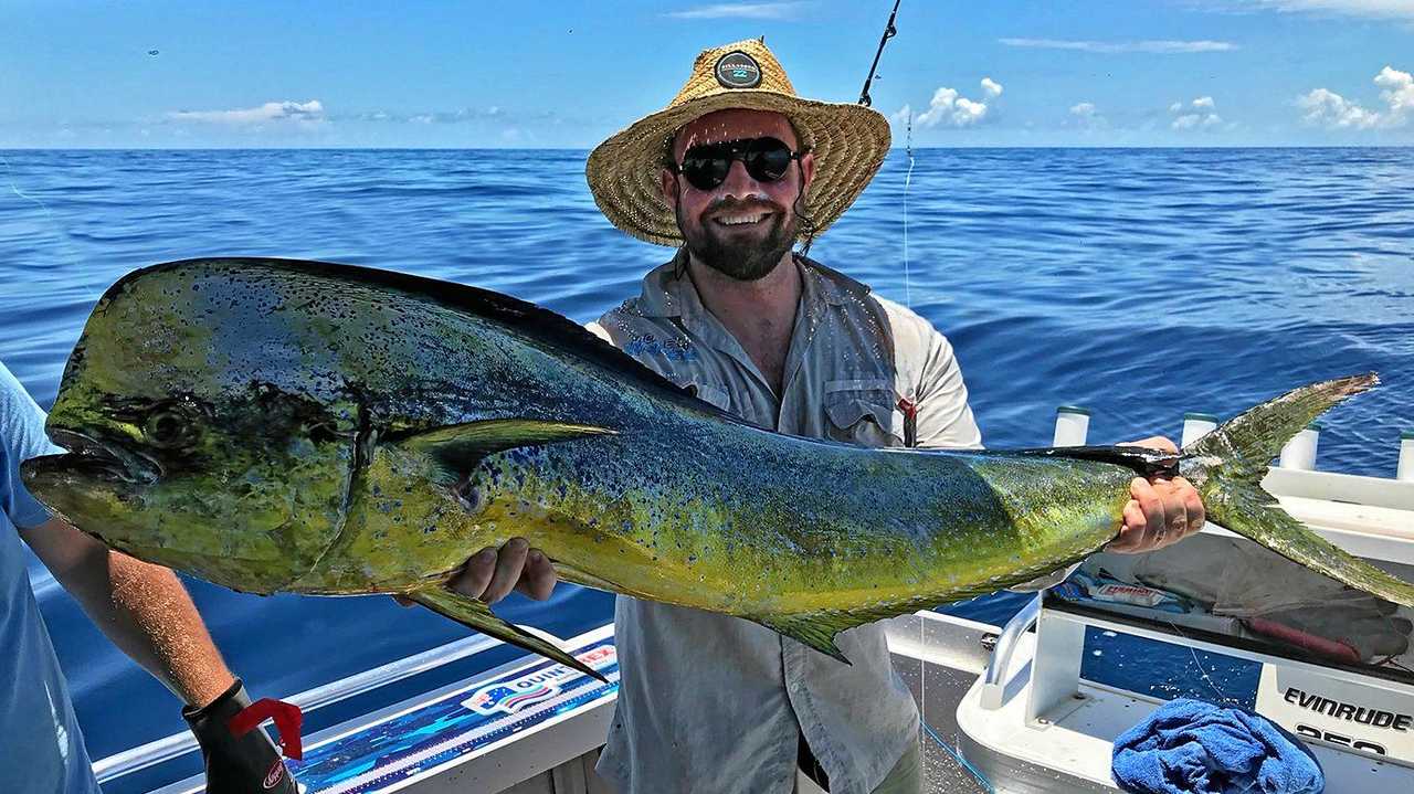 huge mahi mahi