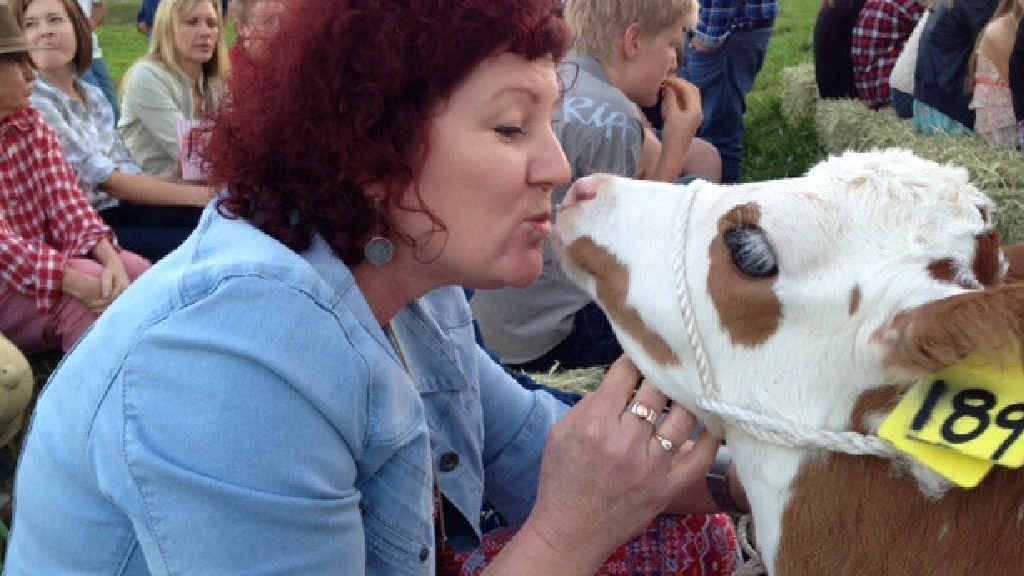 KISS FOR LUCK: Wendy Boraso gets a kiss from a calf at the filming of the Heart of Gold promotional video. Picture: Sam Scoufos And Lukas Davidson