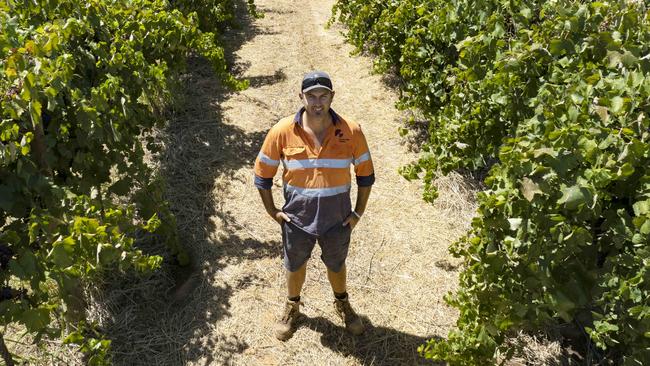 Murray Valley Winegrowers chair Chris Dent says growers are facing leaving their red wine grapes on the vine to rot this year, with price for red wine plummeting after China slapped steep tariffs on Australian wine imports. Picture: Zoe Phillips