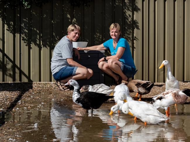 Lucy and Diana Batkin are keeping five of the ducks and two of them are going to live with vegans in Newtown. Picture: AAP / Monique Harmer