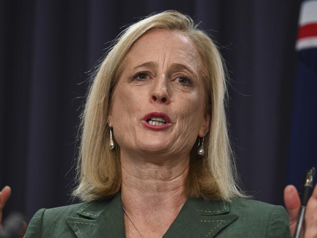 CANBERRA, AUSTRALIA, NewsWire Photos. FEBRUARY 27, 2024: Finance Minister Katy Gallagher holds a press conference as the Employer Gender Pay Gaps are published for first time at Parliament House in Canberra. Picture: NCA NewsWire / Martin Ollman