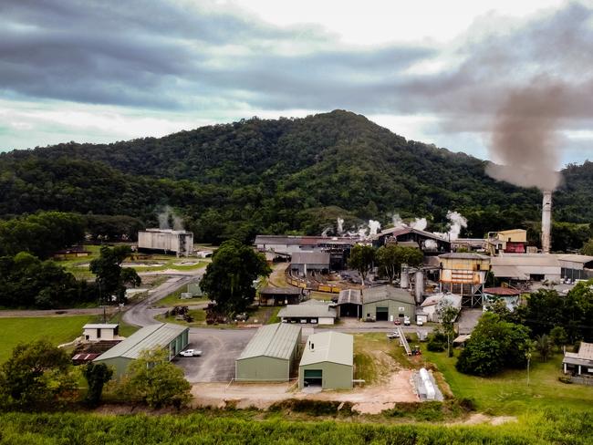 ‘Very bleak future’ as Mossman Mill sits on the brink