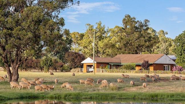 The Collingullie property made about $27,000 per ha.