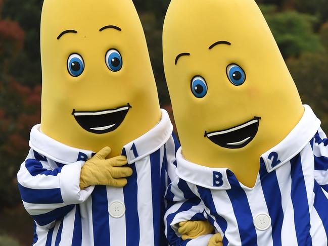 Glen Eira Council Carols in the Park with Justine Clark and a Bananas in Pyjamas Christmas Show at Bentleigh Hodgson reserve. Picture: Chris Eastman