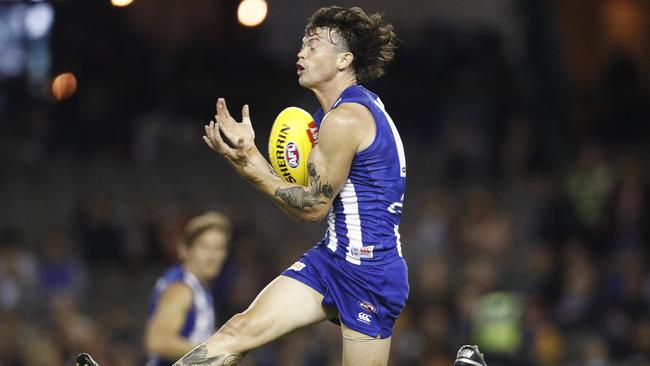 Jasper Pittard has found his best football at North Melbourne. Picture: AAP Images