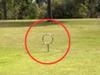 ‘Signs of the occult’: Bizarre objects at park