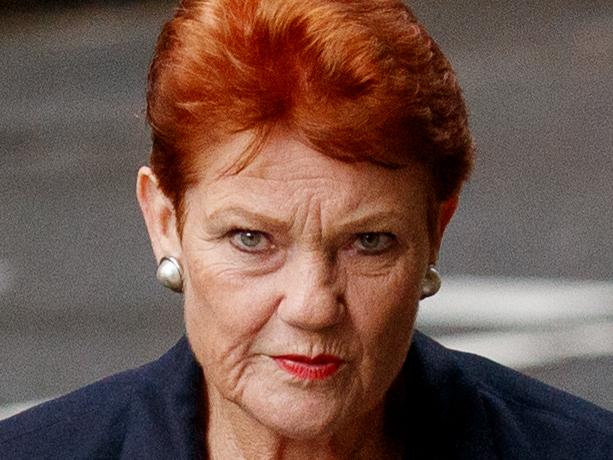 SYDNEY, AUSTRALIA - NewsWire Photos APRIL 30, 2024: Senator Pauline Hanson arrives at the Federal Court on Tuesday. Green senator Mehreen Faruqi is suing Pauline Hanson under the Racial Discrimination Act after the One Nation founder told her to Ãpiss off back to PakistanÃ Picture: NCA NewsWire / Nikki Short