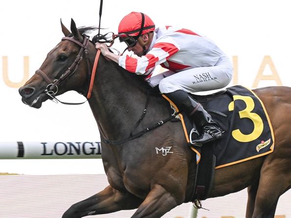 Way To The Stars, pictured winning at Rosehill in November last year, will ensure a frantic tempo in Saturday's The Shorts at Royal Randwick. Picture: Bradley Photos