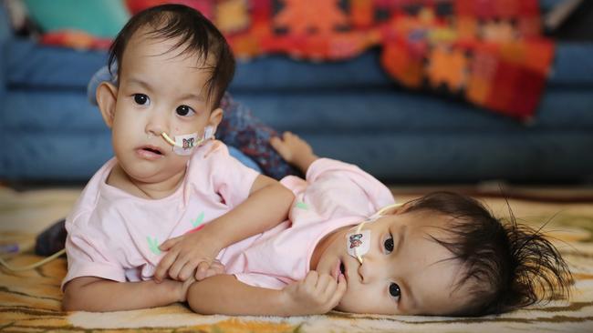 Nima and Dawa relaxing on the floor. Picture: Alex Coppel