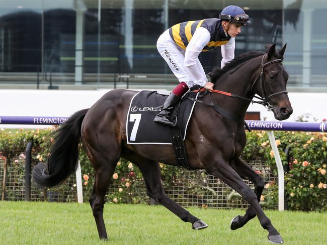 Future Score (IRE) was scratched from the big race on Tuesday morning. Picture: George Salpigtidis/Racing Photos via Getty Images