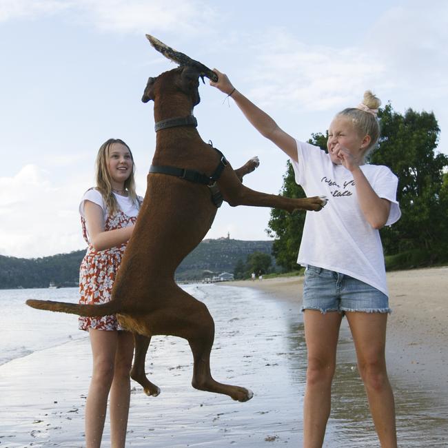 Ava, 13, and Indigo, 10, with their dog Ivy at Station Beach.