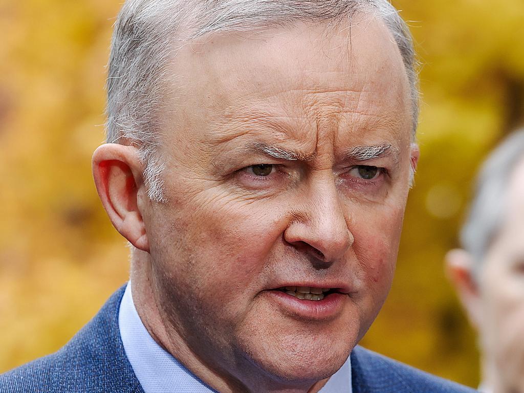 Anthony Albanese said the government should have established more quarantine facilities last year. Picture: NCA NewsWire / Ian Currie