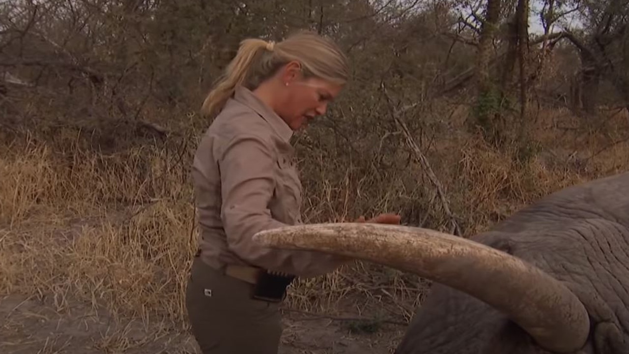 Susan declared ‘victory’ after shooting one of the elephants. Picture: The New Yorker/YouTube