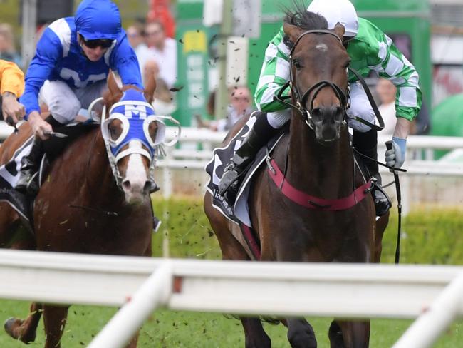 Yulong January salutes on Spring Champion Stakes Day. Picture: AAP