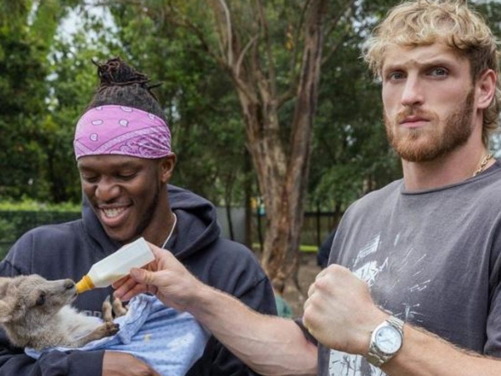 Logan Paul, who describes himself an ‘artist, boxer and wrestler’, has more than 23 million YouTube subscribers and last year announced his drink company partnership with KSI. Picture: Instagram/Logan Paul