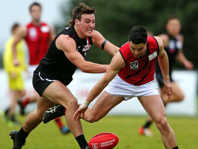 Former Dolphins captain Blake Mullane (left) will boost the Stonecats. Picture: Mark Stewart