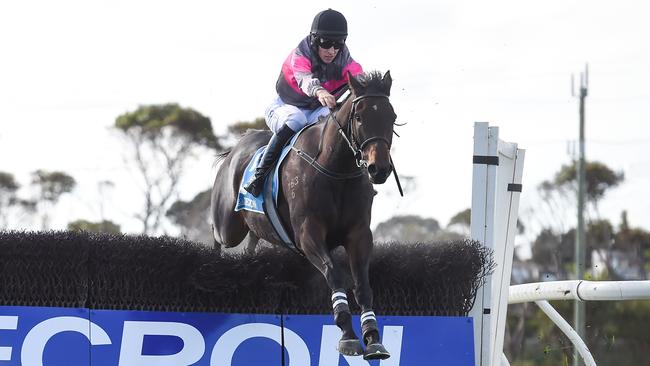 Vanguard will have another crack at upsetting the hot favourite Stern Idol in Sunday’s Grand National Steeplechase at Ballarat. Picture: Racing Photos via Getty Images.