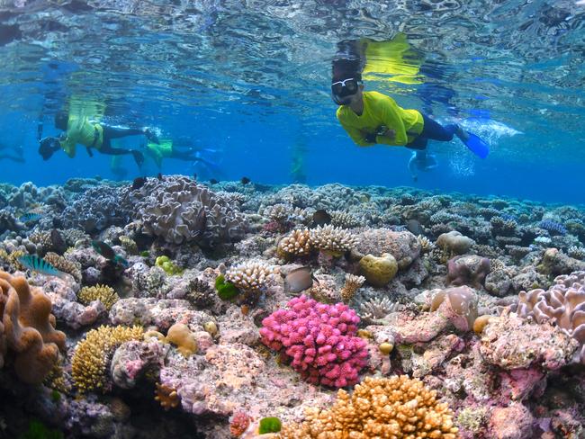 Master Reef Guides In training as part of the Great Barrier Reef. Marine Park Authority program. Taylor Chih-Siang Chen at Ribbon Reef No. 9. In the Ribbon Reefs. Photo - Johnny Gaskell