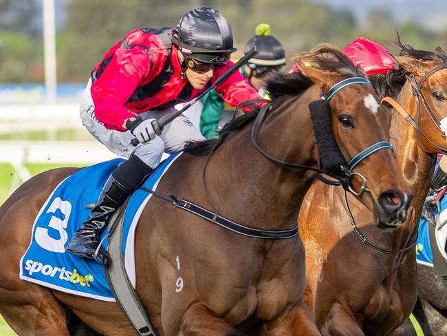 Press Down wins the Listed W H Wylie Handicap at Morphettville on Saturday. Picture: Makoto Kaneko