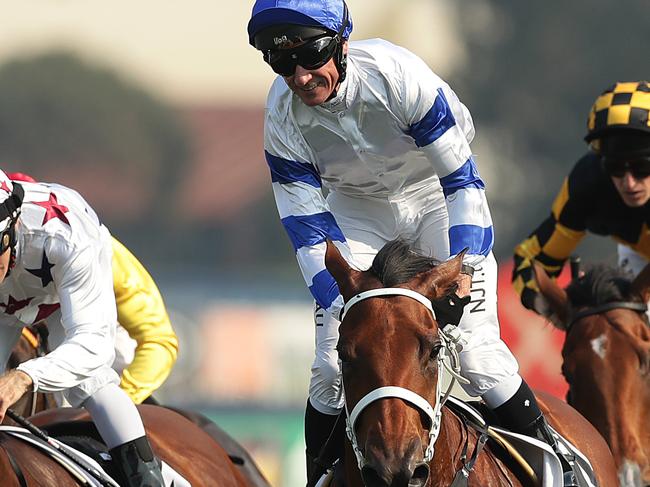 SYDNEY, AUSTRALIA - NOVEMBER 02: Glen Boss riding Kolding wins race 7 Iron Jack Golden Eagle during Sydney Racing at Rosehill Gardens on November 02, 2019 in Sydney, Australia. (Photo by Mark Metcalfe/Getty Images)