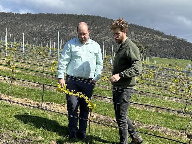 TasFarmers CEO Nathan Calman and Sisu Wines owner and winemaker Jake Sheedy. Picture: supplied.