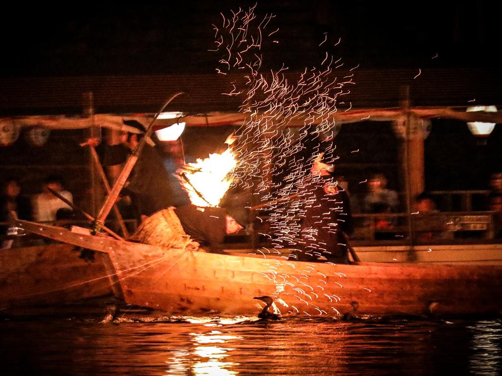 Trained Japanese cormorants, honed from youth, execute precise dives, deftly securing fish without consumption. Picture: Nicholas Eagar