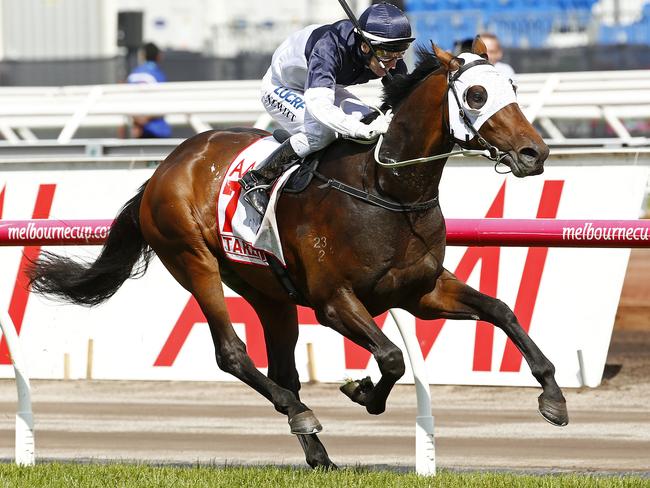 Craig Newitt and Tarzino combine to win the VRC Derby. Picture: Colleen Petch