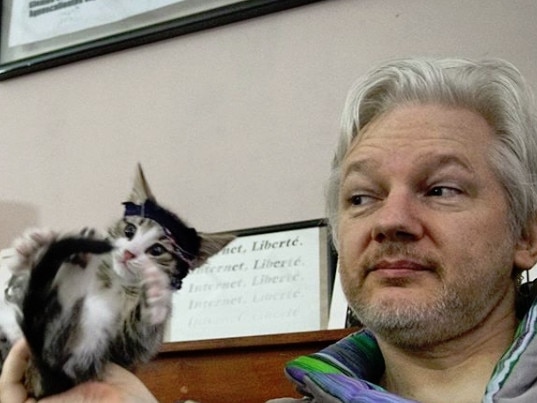 Julian Assange faces 175 years in jail. Picture: Supplied