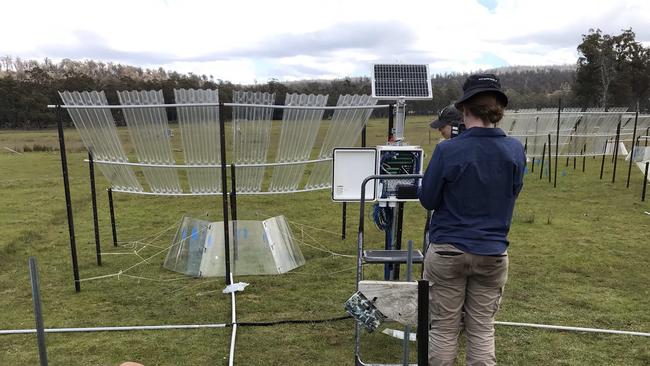 Using small open-top-chambers in tundra sites, University of Tasmania researchers simulated the effect of a warming climate. Picture: Supplied