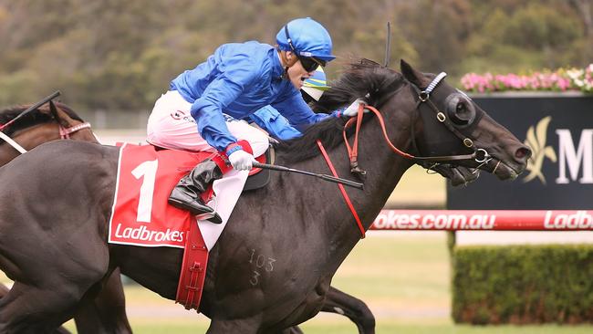 Morton’s Fork winning the Sandown Guineas in Godolphin blue back in 2016.