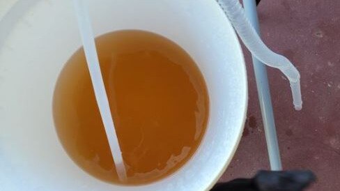 Shanta Werda took to social media to share her concern about discoloured water in Bowen.