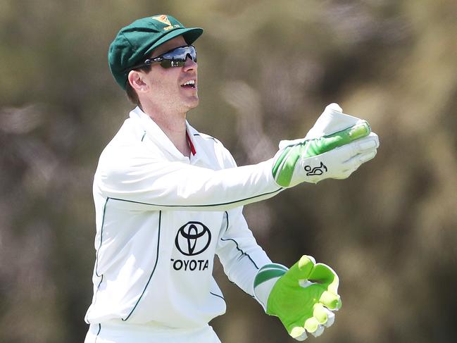 Tasmania slams ‘appalling’ treatment of Tim Paine