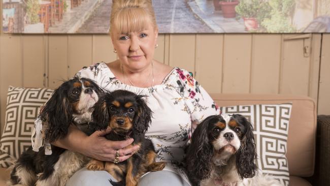 Wantirna’s Amanda Morgan with her Cavalier King Charles spaniels Prada, Gucci and Kensie. Gucci was attacked by a fox in 2016 and was lucky to survive with just a scar. Picture: Daniel Pockett