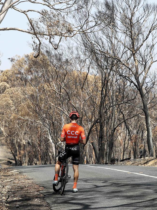 … and takes a closer look at the damage on Bird-in-Hand road, Woodside. Pictures: Sarah Reed