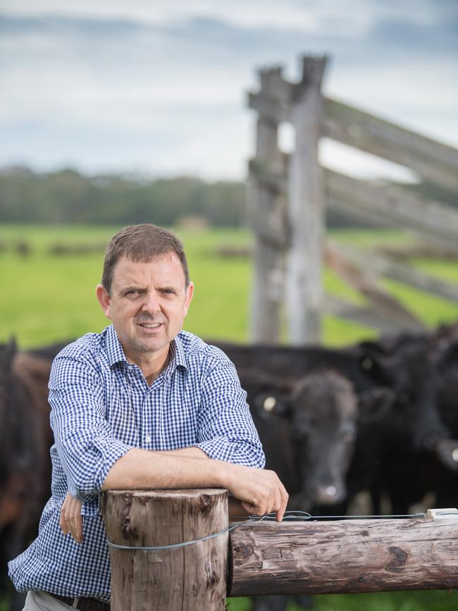 Liberal Member for MacKillop Nick McBride. Picture: Tom Huntley