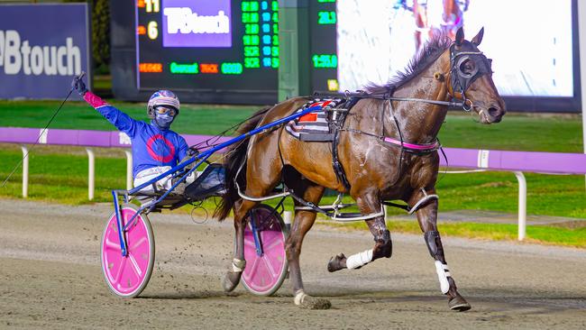 Minstrel, pictured after his WA Pacing Cup win, is the new favourite for the $1.25 mllion barrier draw after a poor draw saw Swayzee drift. Picture: Pacepix