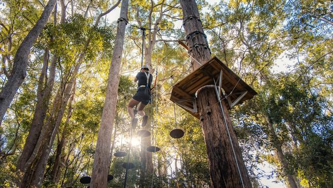 TreeTop Challenge. Picture: Visit Sunshine Coast.