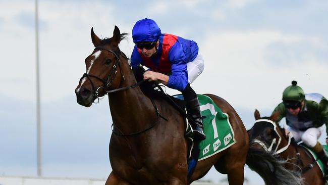 James McDonald steers Zaaki to a powerful win in the Hollindale Stakes. Picture: Grant Peters/Trackside Photography